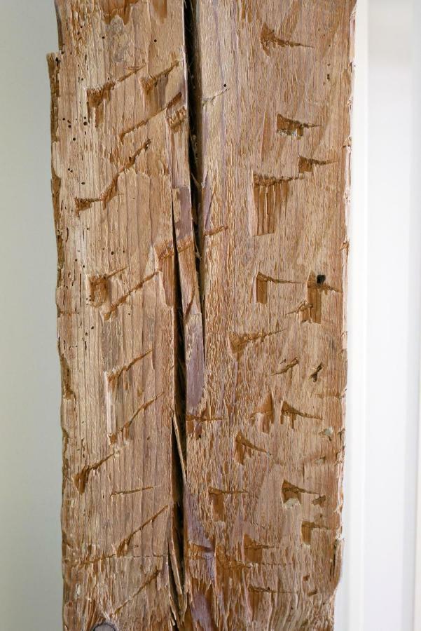 فندق Art Burgo المظهر الخارجي الصورة